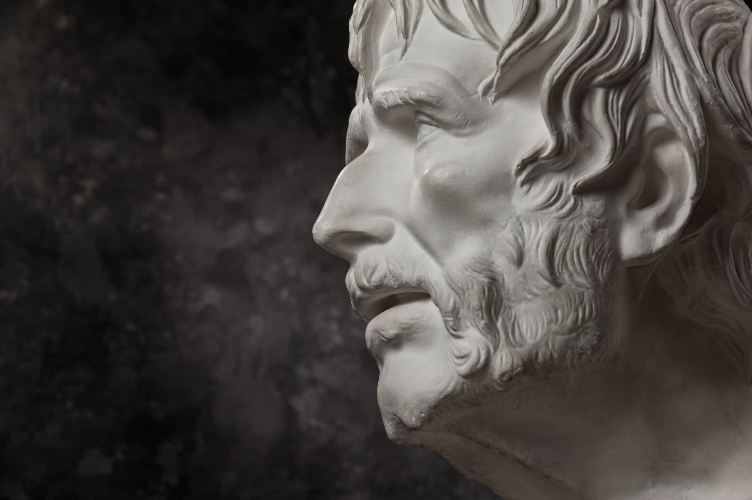 Latin Workshop (8/25/22): Seneca on Old Age Gypsum,Copy,Of,Ancient,Statue,Seneca,Head,On,Dark,Textured